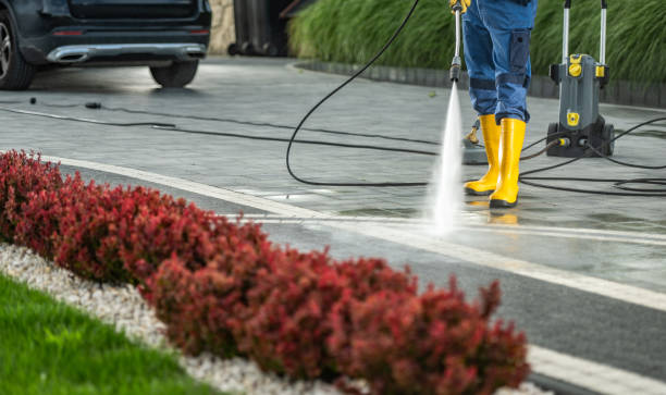 Best Residential Pressure Washing Services  in Le Mars, IA