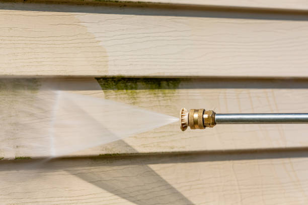 Best Sidewalk Pressure Washing  in Le Mars, IA