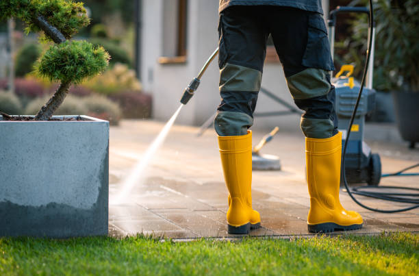 Roof Power Washing Services in Le Mars, IA